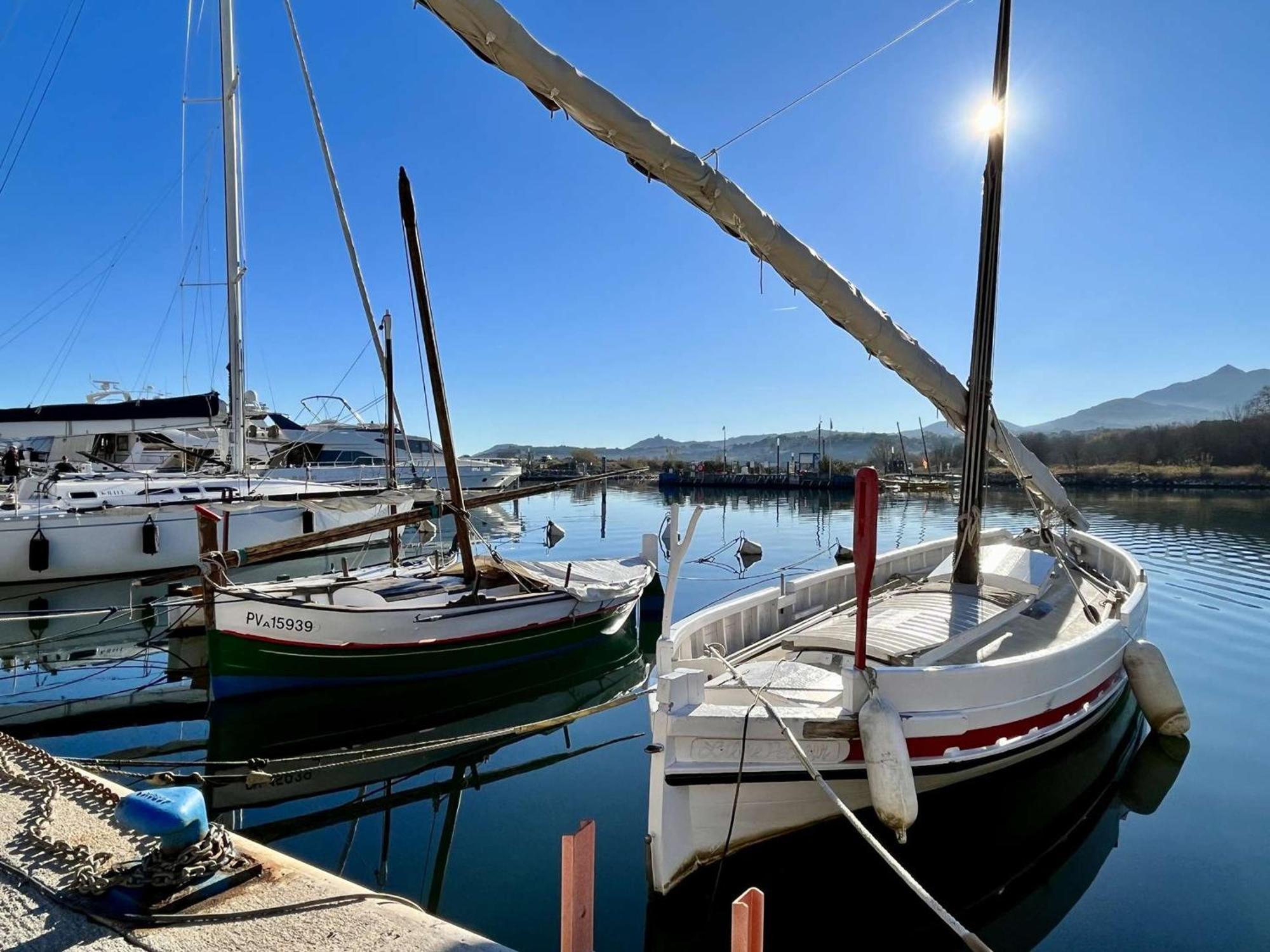 Location Appart 2 Pieces Au Port D'Argeles-Sur-Mer - Fr-1-225-56 Bagian luar foto